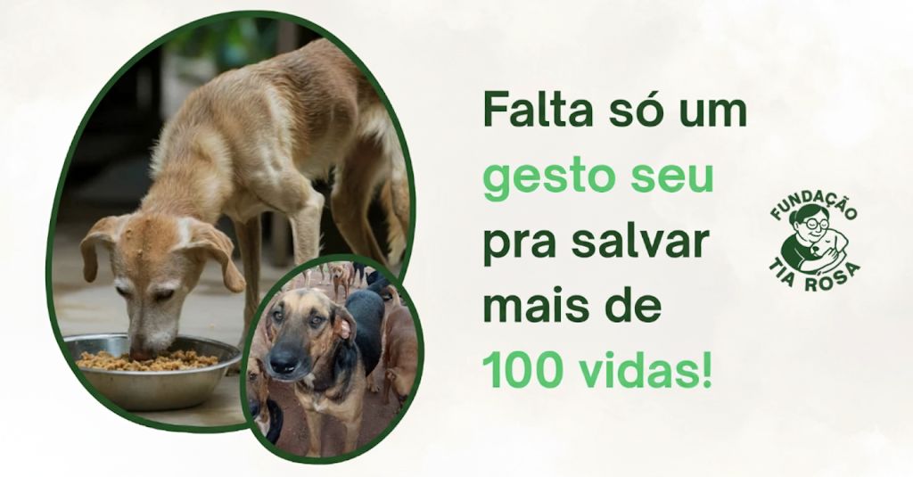 Fundação da Tia Rosa